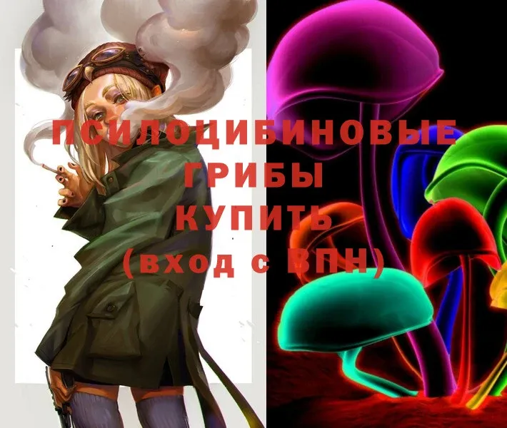 купить закладку  Бавлы  MEGA ТОР  Галлюциногенные грибы MAGIC MUSHROOMS 